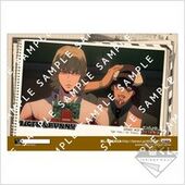 TIGER & BUNNY 041 PTB0041