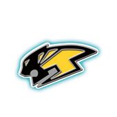 Pins Collection The Best (Wild Tiger Logo) (ワイルドタイガーマーク) ¥200
