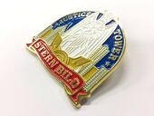 V-Residence Pin (ピンバッジ) NFS Part of Stern Bild Supporter Set